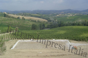 impianto di fitodepurazione per cantina vitivinicola da piantumare