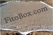 foto fitodepurazione FitoBox