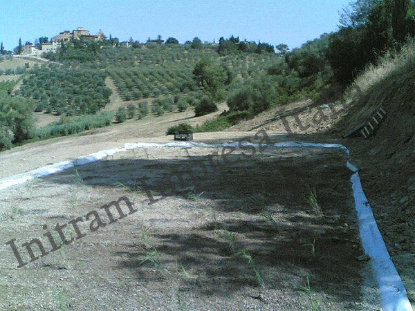 constructed wetland