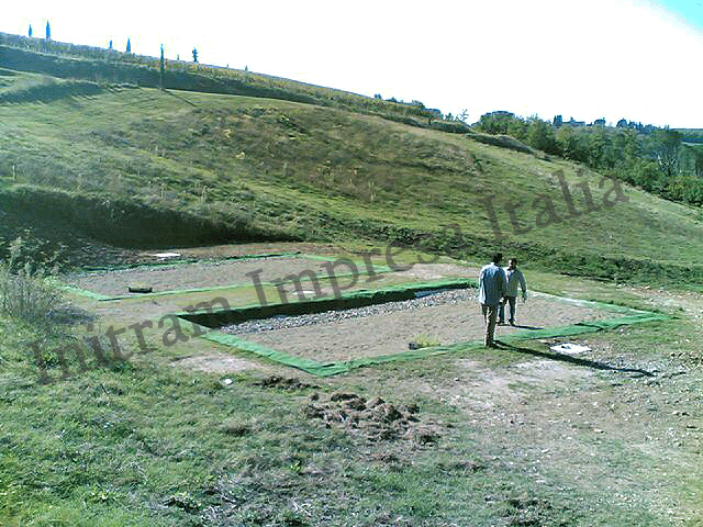 reedbed