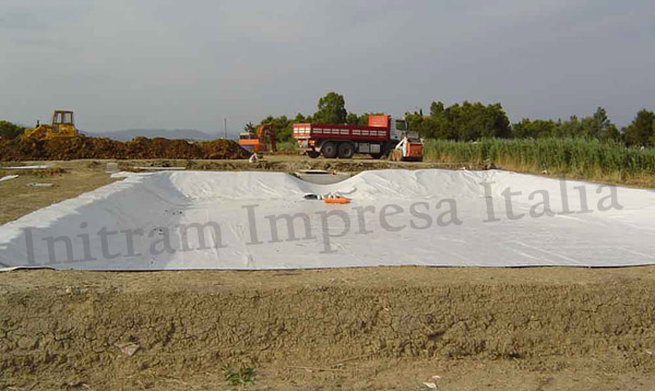 constructed wetland