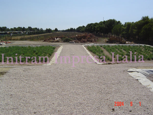 constructed wetland