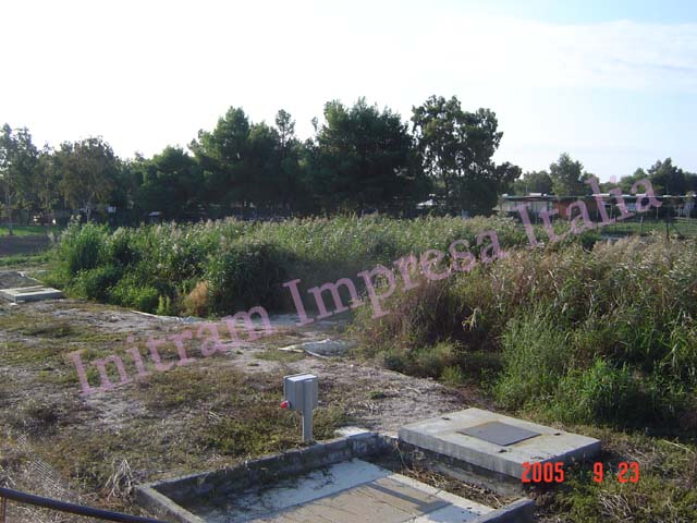 constructed wetland