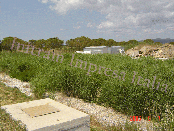 constructed wetland