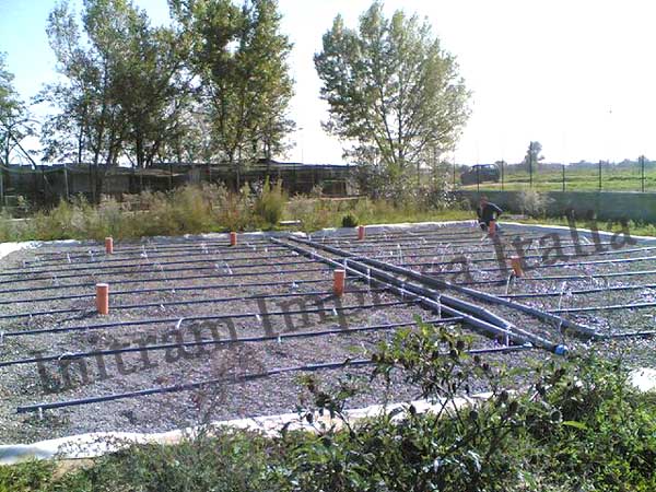 constructed wetland