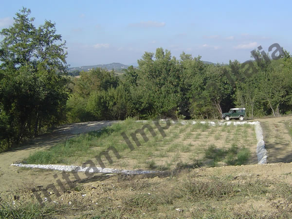 constructed wetland